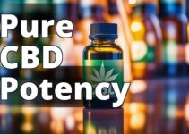 Cbd Legalization: A Comprehensive Guide To Federal And State Laws