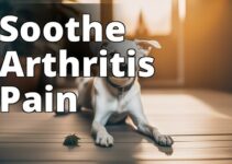 Relieve Your Dog’S Arthritis Pain With Cbd: A Comprehensive Guide