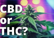 Cbd Vs Thc: Which Compound Is Right For Your Health And Wellness?