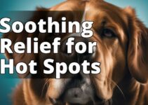 Say Goodbye To Hot Spots In Dogs With Cbd Oil: A Natural Solution