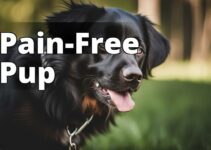Unleash The Power Of Cbd Oil For Dog Pain Relief