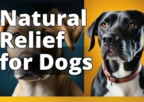 The Ultimate Guide To Cbd Oil For Canine Cancer Support
