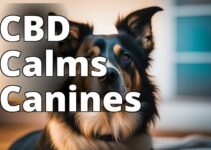 Revolutionize Your Dog’S Health With Cbd Oil For Seizures: All You Need To Know