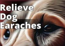 Transform Your Dog’S Health: Discover The Power Of Cbd Oil For Ear Infections