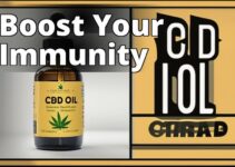 Boost Your Immune System With Cbd Oil: A Complete Guide