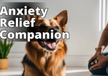 Unleashing The Power Of Cbd Oil: Anxiety Relief For Dogs