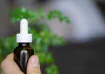 Optimizing Endocannabinoid Health With Top Cannabidiol Oils